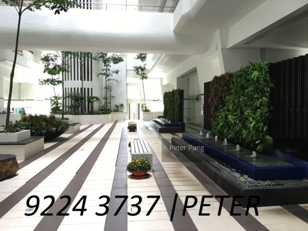 Elizabeth Heights (D9), Condominium #127942052